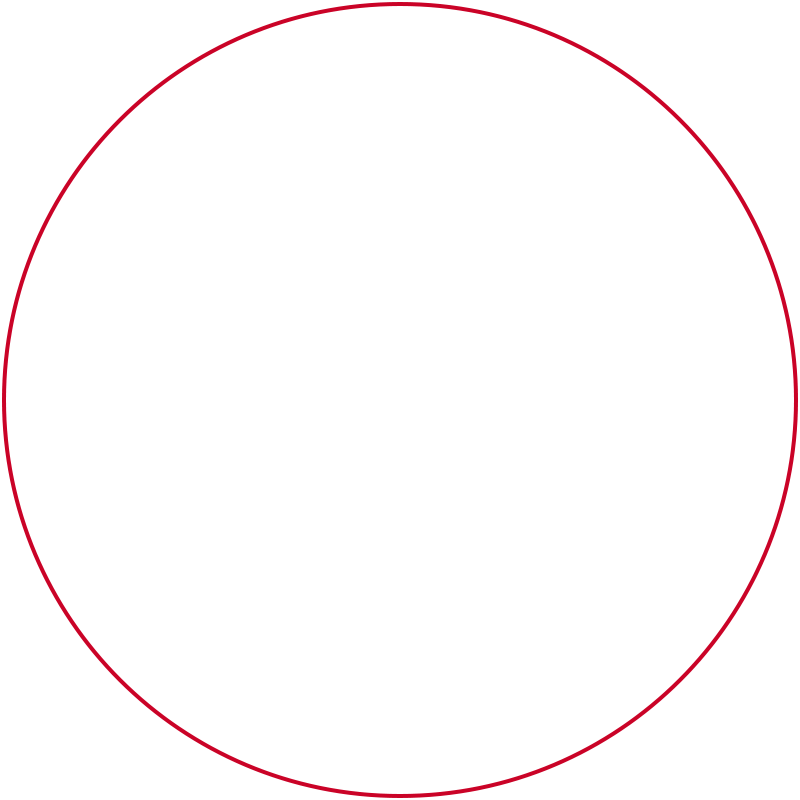 circle red fill white